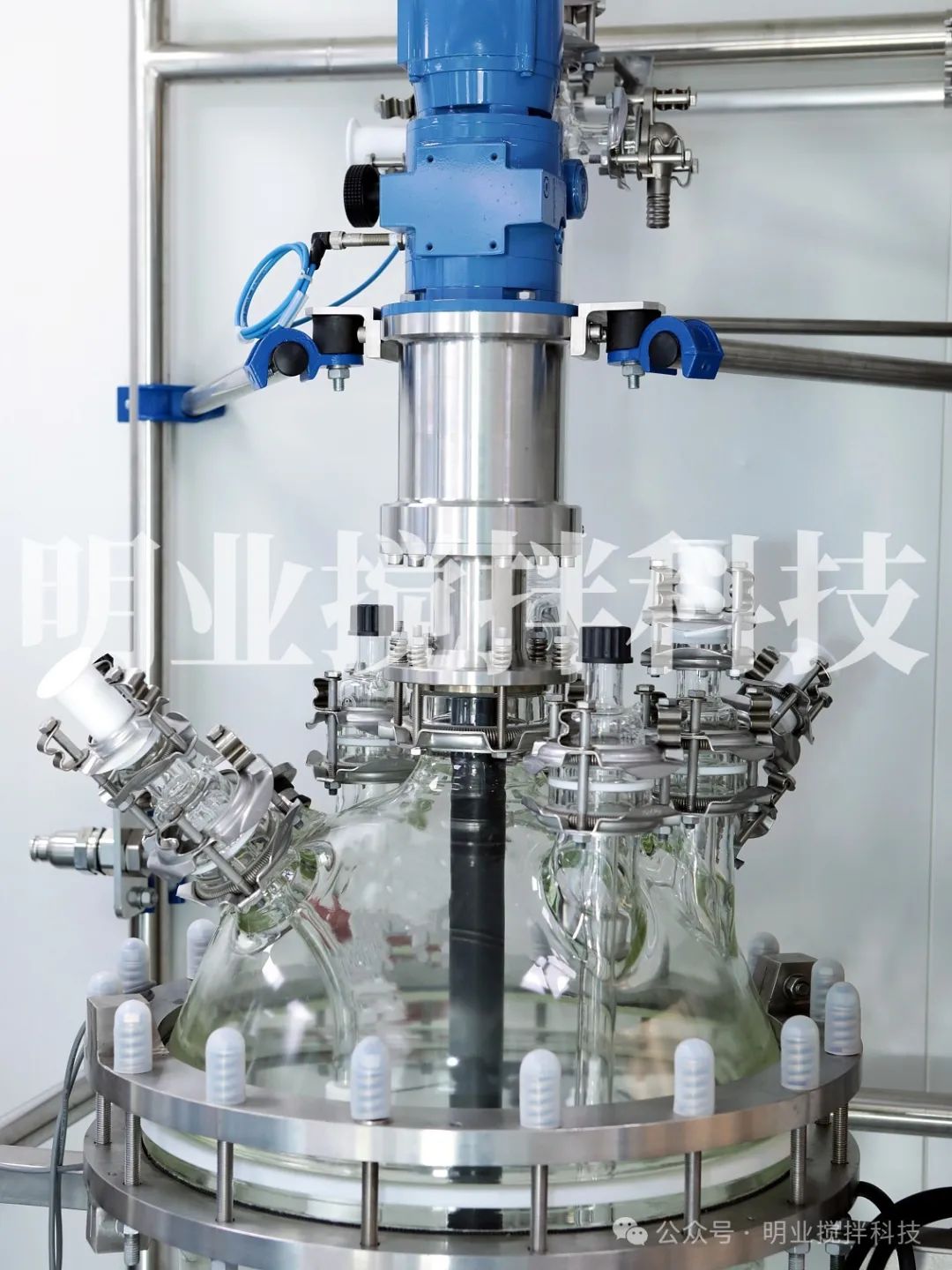 4301722993502516.jpg 微信图片_20240807091722.jpg