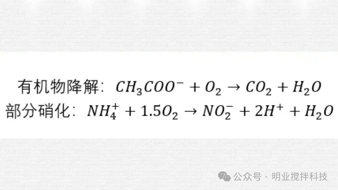 1801787102145628.jpg 微信图片_2026-08-19_091537_363.jpg